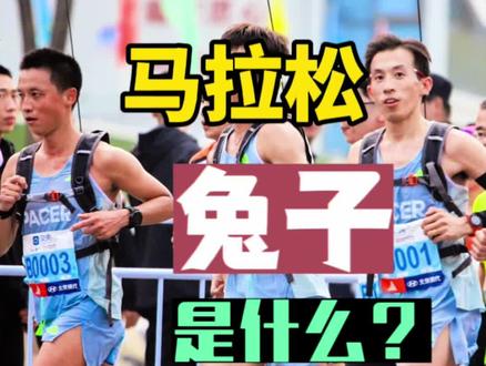 马拉松官兔是服务也是责任更是形象#马拉松 #跑步 #全民健身 #运动 #因为热爱所以坚持