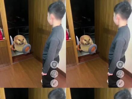 我的刀盾狗ai特效教程#我的刀盾狗#剪映#一键做同款