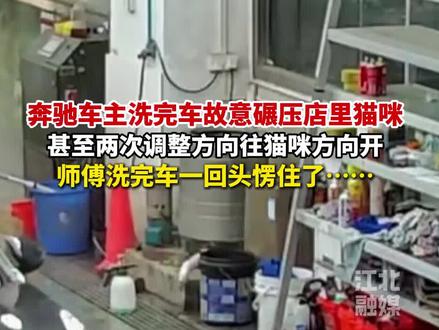 奔驰车主洗完车故意碾压店里猫咪,甚至两次调整方向往猫咪方向开,师傅洗完车一回头愣住了……