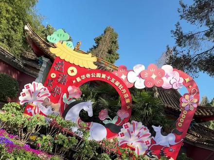 #牡丹花展
#昙华寺
来昙华寺公园看牡丹花展啦#昙华寺牡丹花展
#想去云南的心达到巅峰