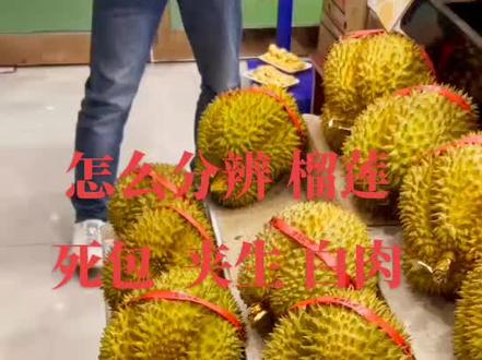 关于榴莲那点事
终端消费 避免踩坑系列
怎样区分辨别 一个榴莲是否 死包 夹生 白肉
记得点赞收藏
#榴莲 #榴莲爱好者 #榴莲控 #喜欢吃榴莲的看过来 #榴莲知识