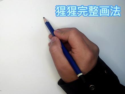 零基础学习画画-猩猩完整画法 #简笔画 #手绘 #一起学画画 #画画 #零基础学画画 #想画就画