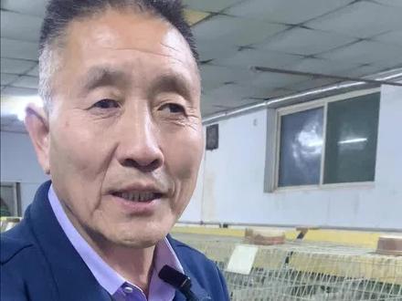 兔子怎么接生?要做哪些准备?#兔子养殖 #养兔子 #兔子