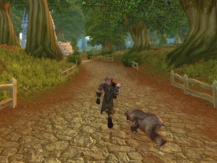 打副本带什么宠物 在哪抓 WLK猎人攻略 #魔兽世界