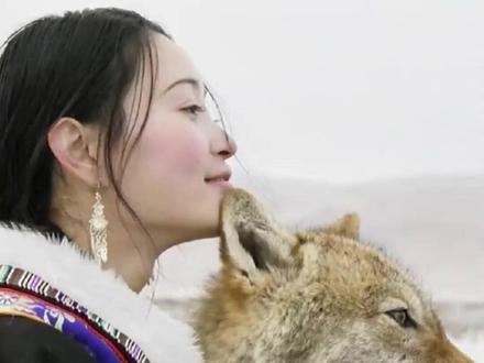 1月23日(报道),《重返狼群》原著确认再版!有二手平台将旧版炒至数百至千元,李微漪:所有旧版版权已到期且无库存,不要购买高价旧书及盗版,新版成人版原著 预计2026年春季上市#大象主播说