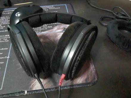 森海塞尔hd600换耳罩……千万别换,声音完全不对劲#耳机 #森海塞尔hd600 #监听耳机