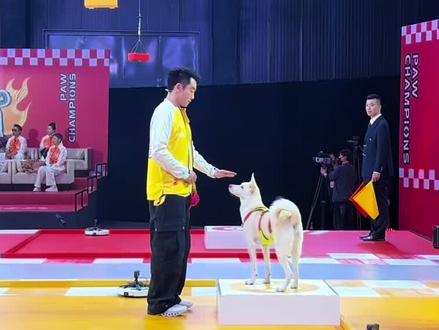 恺哥好逗哈哈哈大小姐好可爱啊#加油汪汪#大小姐 #郑恺