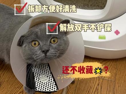 猫奴福音来的全新自动猫砂盆,超大球仓0卡猫的设计,解放双手自动铲屎,APP控制实时查看猫咪如厕状况~ #catlink自动猫砂盆 #萌宠好物 #好物推荐🔥 #科学养宠攻略 #新手养猫