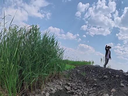 打黑遇到大爷怎么处理!看完就知道了