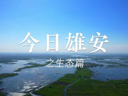 中国式现代化的先行实践——今日雄安之生态篇
#京津冀又有新惊喜 #中国式现代化
白洋淀是华北平原最大的淡水湖泊,被誉为“华北之肾”,对维护京津冀地区生态环境具有重大意义。雄安新区坚持“生态优先”,对白洋淀湿地实施有史以来最大规模全流域修复。如今,白洋淀生态环境持续改善,生物多样性显著增加,鸟类栖息地面积逐步扩大,鸟类种类及种群数量呈明显上升趋势。
2017年11月13日,千年秀林第一棵苗木在雄安新区种下。6年来,47万亩千年秀林有序铺展,280余种、2300多万株苗木在新区大地上茁壮成长。雄安新区“一淀、三带、九片、多廊”的生态空间骨架基本形成,森林覆盖率大幅提高,生态环境质量显著提升。