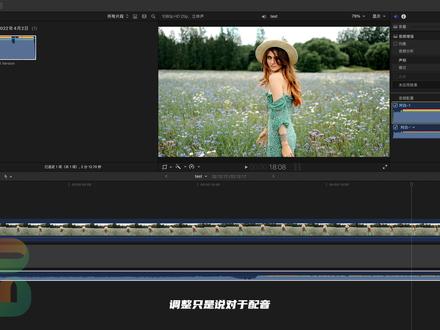 【Final Cut Pro初级教程】第六节:fcpx检查器功能介绍 #教程 #视频剪辑教程 #fcpx教程