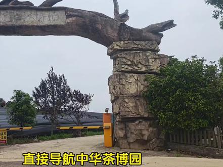 野营宝藏地保姆级攻略 ☞贵阳出发50分钟左右
☞可烧烤、钓鱼、露营、麻将
☞每车20元卫生费,其他无任何费用#湖边露营正确打开方式 #治愈系户外野餐 #河边露营美食 #山水野餐 #户外湖边野餐