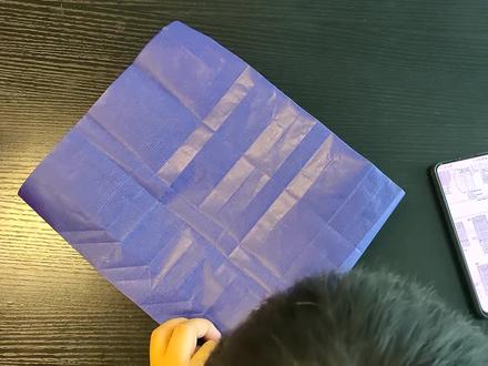 UP主教你折一只超逼真的海龟,有点难,手残止步(第二部分)