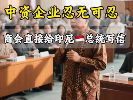 百家中企集体发声!10年帮印尼造起产业链,如今却频频受限 #印尼#印尼出海#印尼物流#印尼双清专线#印尼海运