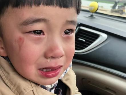 四上语文第十二课《盘古开天地》#小学语文 #每天学习一点点