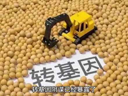 转基因阴谋已经暴露了 #转基因 #阴谋 #险恶用心 #食品安全问题 #转基因的危害