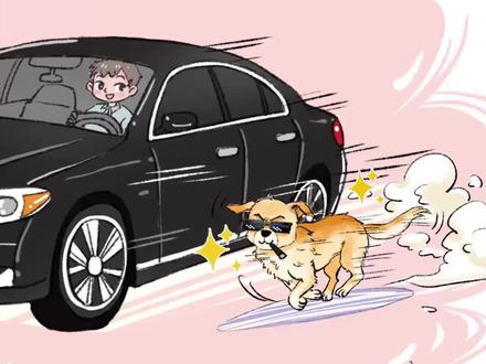 狗狗:但凡你有我三分,副总的位置早就是你的了 #狗狗 #狗狗的心思都写在脸上了 #人情世故 #人不如狗 #萌宠搞笑