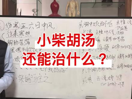小柴胡汤的七个“或然症”解读 #小柴胡汤 #经方 #分享中医知识