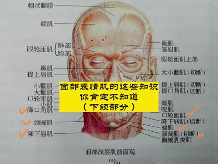 面瘫要知道自己什么动作做不了