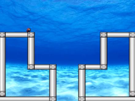 <喵大宝>玩到这里的时候,我不由得菊花一紧