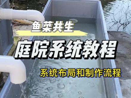 3分钟教会你!在家做一台属于自己的家庭鱼菜共生系统#潮汐种植#手工教学#鱼菜共生系统