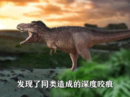 第10集 还原真实的霸王龙,它究竟有多可怕?#霸王龙 #动物科普 #史前巨兽 #知识前沿派对 #抖音年味新知贺岁