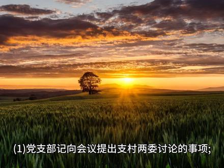 #法律咨询#村级重大事项决策实行“四议两公开”,具体怎么实行?