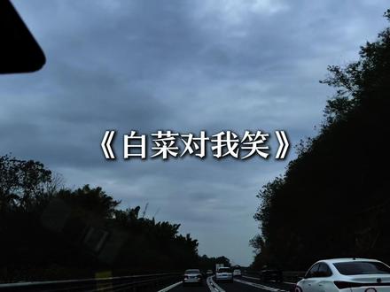 白菜白菜对我笑.#音乐分享 #白菜对我笑