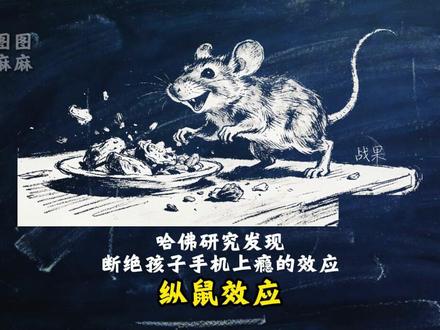哈佛研究发现一个能够断绝孩子手机上瘾的效应:纵鼠效应#育儿 #家长必读 #教育分享 #家庭教育 #心理学效应