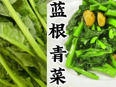 蔬菜中的爱马仕,一道清炒#板蓝根青菜 分享给大家,青翠碧绿,口感清甜,还有抗毒功效,特别适合这个季节#抖音美食推荐官 #同城美食 #宝坻#上热门