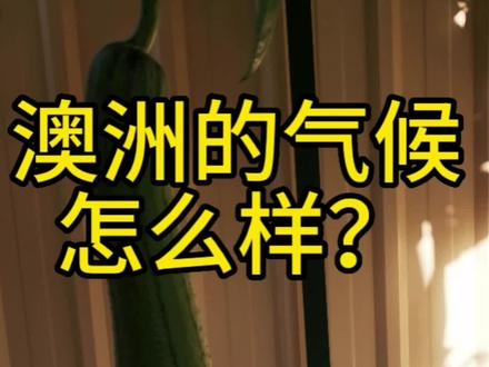 粉丝问答系列之5#记录真实生活 #澳洲 #种菜 #菜园