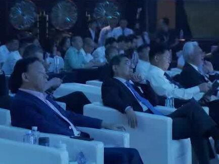 中国政法大学资本金融研究院院长刘纪鹏:全面注册制下的股市,由“一个老子在审”变成“三个儿子在审”#财经 #经济 #凤凰湾区财经论坛2023