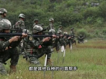 1个武警能打5个歹徒,武警与解放军的战斗力谁更强? #武警 #解放军 #军人