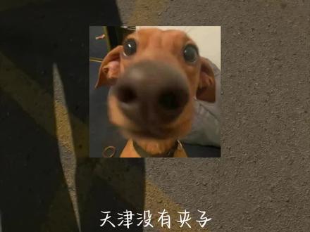 #IGotThatGoodGood #有点儿意思 #鹿晗 @DOU+小助手 @抖音小助手