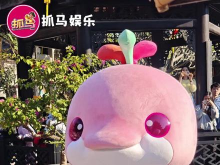 大湾鸡这是真吉祥物顶流 #大湾鸡 #mini鸡 #萌化了 #吉祥物 #kpop