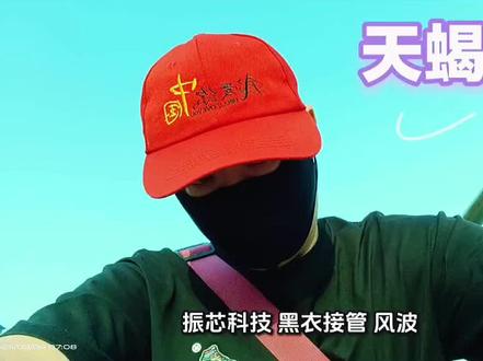 #振芯科技“黑衣接管”风波……