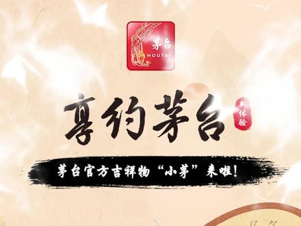 小铛家迎来了一位新伙伴小茅呦~