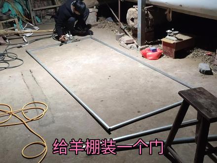 冬天冷了,加班给羊棚装一个门 #养羊人