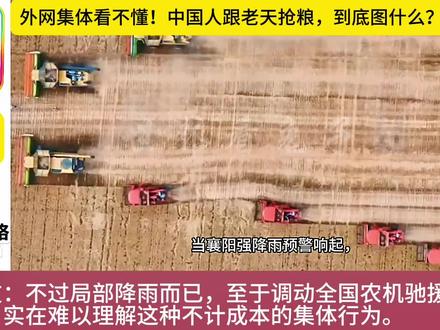 老外永远不懂:中国人护粮,护的是普通人的生计 #外网热评 #千余台收割机驰援襄阳抢收 #湖北襄阳 ##国家粮食安全 #外国人看中国
