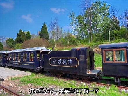 #三五好友 #远离城市的喧嚣 信阳市波尔登森林公园,距离正阳县100公里。小火车值得一坐,推荐👍🏻