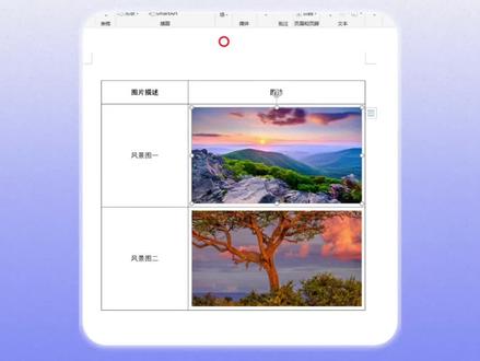 文档表格插入图片的正确方法,新来的文员竟然不会 #word#wps#office办公技巧 #办公技巧#干货分享