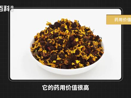 雪菊——营养价值高的草本植物