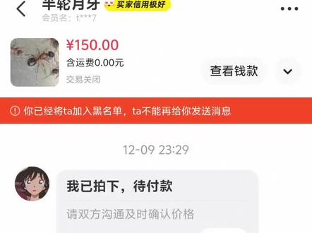 这是蚁圈“150”事件的前景回顾,后面的事情其实我也是个吃瓜群众!#蚂蚁 #昆虫