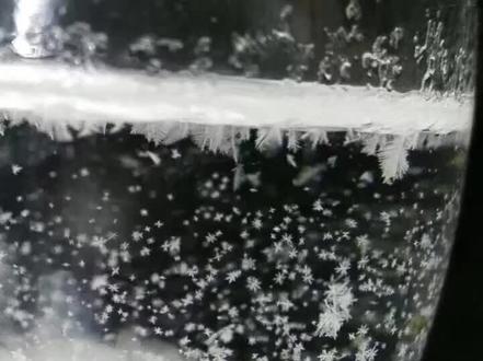 瓶内结晶的变化,主要是由于溶液内的樟脑在乙醇内的溶解度会随着温度变化。温度改变时,樟脑的结晶析出,温度的变化速度,则会影响结晶的成长大小与结构。这些因素造成瓶内晶体型态万千的美丽变化。 #趣味实验 #开学倒计时 #网课 #在家做实验
