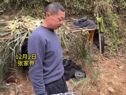 荒野求生赛中熊二被“禁言”,微笑比心坚持比赛#荒野求生 #熊二 #张家界