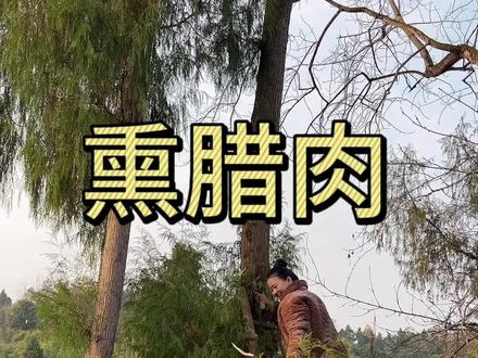 农村熏腊肉全过程,每到这个节点就是年味最浓的时候,你们家熏香肠腊肉了吗?#农家烟熏腊肉 #记录真实生活 #我的乡村生活