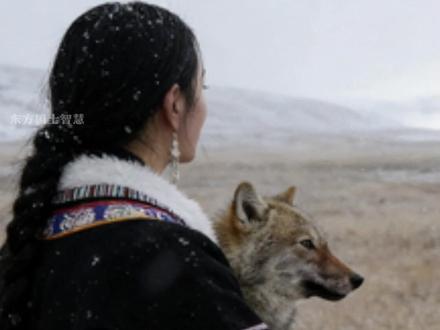 只有格林,才真正知道李微漪有多伟大。很多人是后来才被这个故事感动的。但我敢说,当时站在现场的人,十个有九个都不支持她!#重返狼群 #狼王格林 #李微漪 #格林