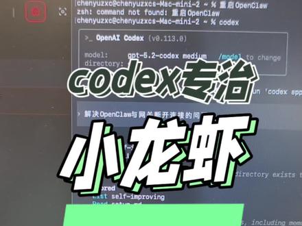 codex专治小龙虾
#龙虾 #openclaw #养龙虾 #codex