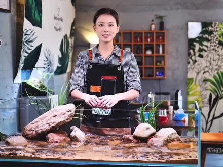 我给5只小螃蟹,开了一个120CM的原生缸!!这还能越狱吗?#水族 #原生造景 #水族 #造景鱼缸 #原生造景
