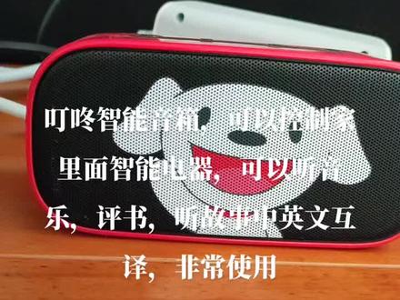 叮咚智能音箱